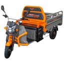 TRICICLU ELECTRIC CARGO RURIS PILOT3120G