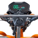 TRICICLU ELECTRIC CARGO RURIS PILOT3120G