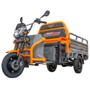 TRICICLU ELECTRIC CARGO RURIS PILOT3120G