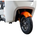 TRICICLU ELECTRIC RURIS PILOT3070A