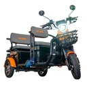 TRICICLU ELECTRIC RURIS PILOT3040N
