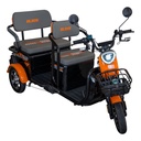 TRICICLU ELECTRIC RURIS PILOT3040N