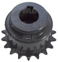 PINION 629982