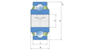 Rulment FKL Q203PP.AH05