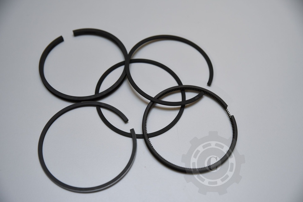 SEGMENTI MOTOR SDF FI 95