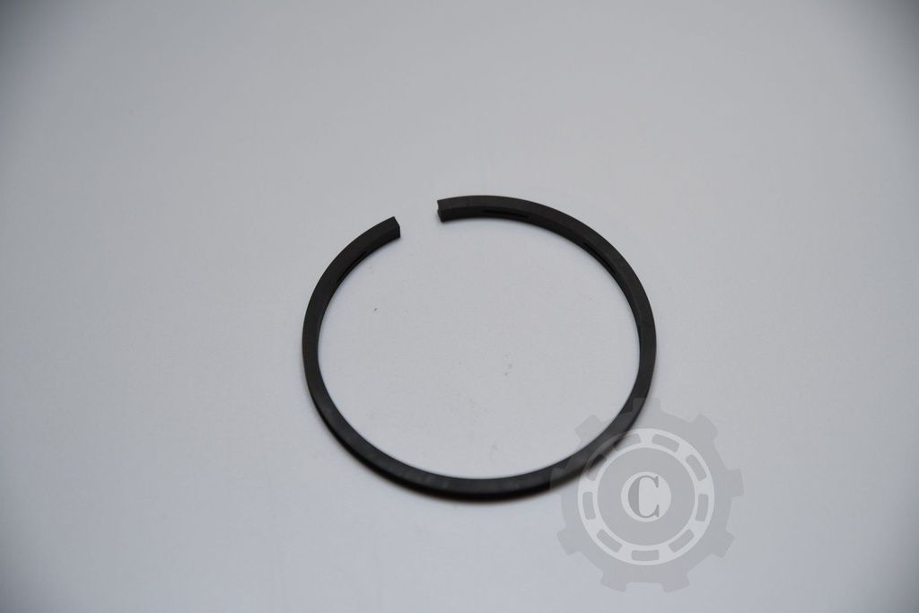 SEGMENTI MOTOR SDF FI 95