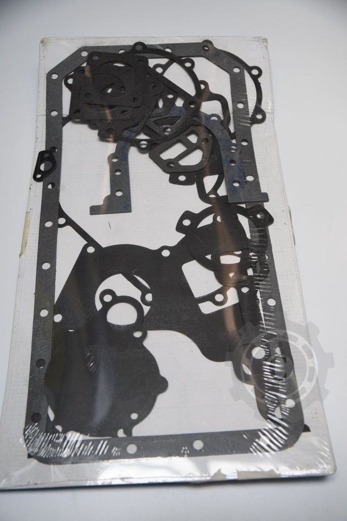 SET GARNITURI 244DR47