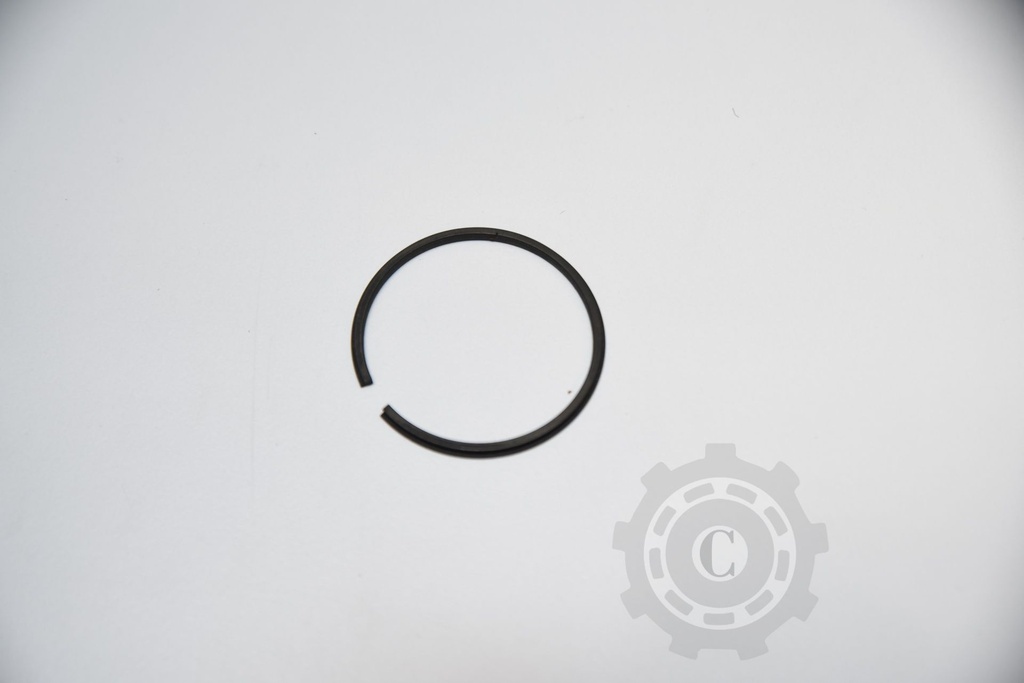 SEGMENT CASE