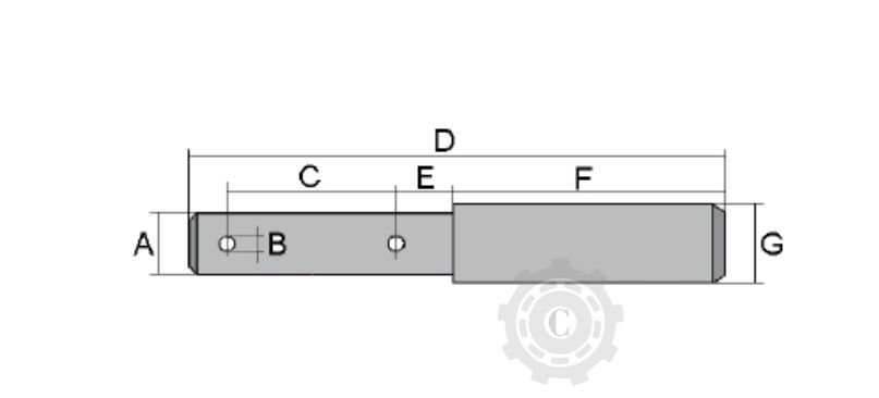 BOLT CATEGORIA 1-2