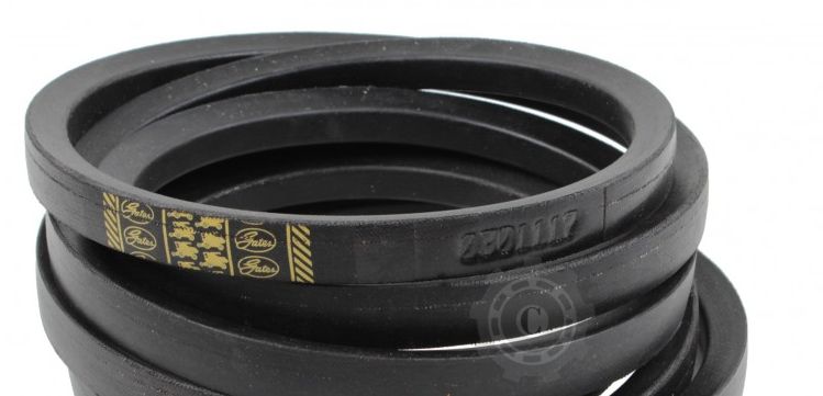 340433237 CUREA GATES