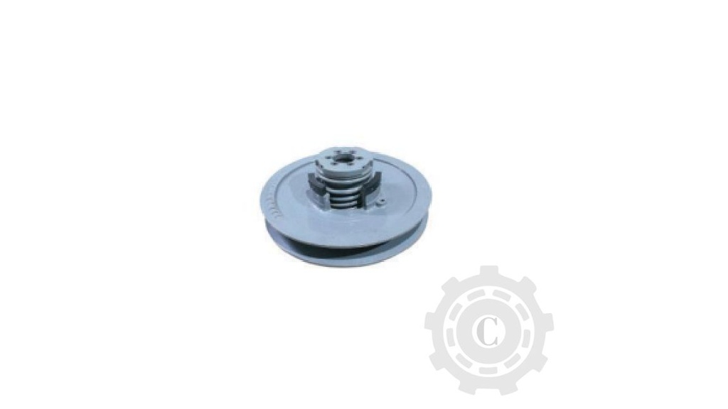 Set Complet Variator 644171