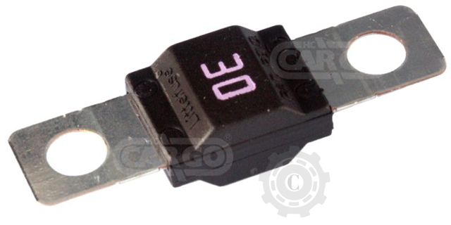 SIGURANTA FUZIBILA 30A