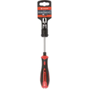 180842202125KR SURUBELNITA IN CRUCE PH2 x 125mm