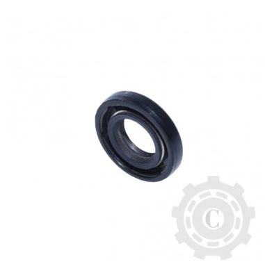 Simering Fara 100x120x12 TC