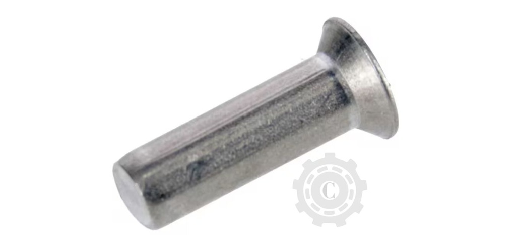 F02250521R NIT BUTUC DISC