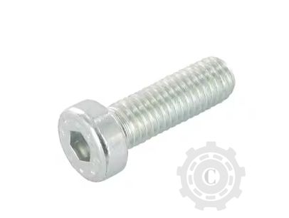 Șurub cap cilindric redus orificiu hexagonal DIN7984 M20x2,5x40mm
