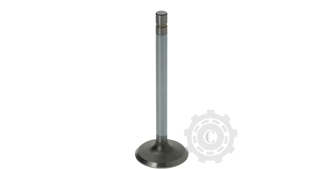 SUPAPA DE ADMISIE JD R52251