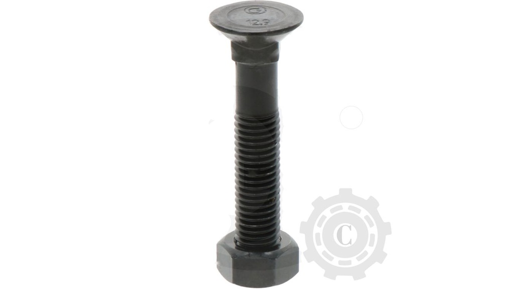 SURUB M12X65 G12.9 