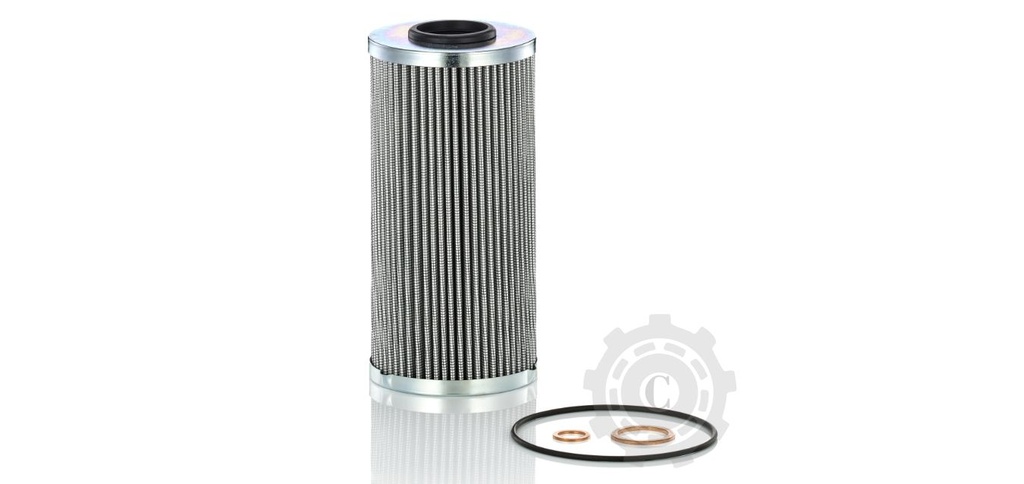 H10009z