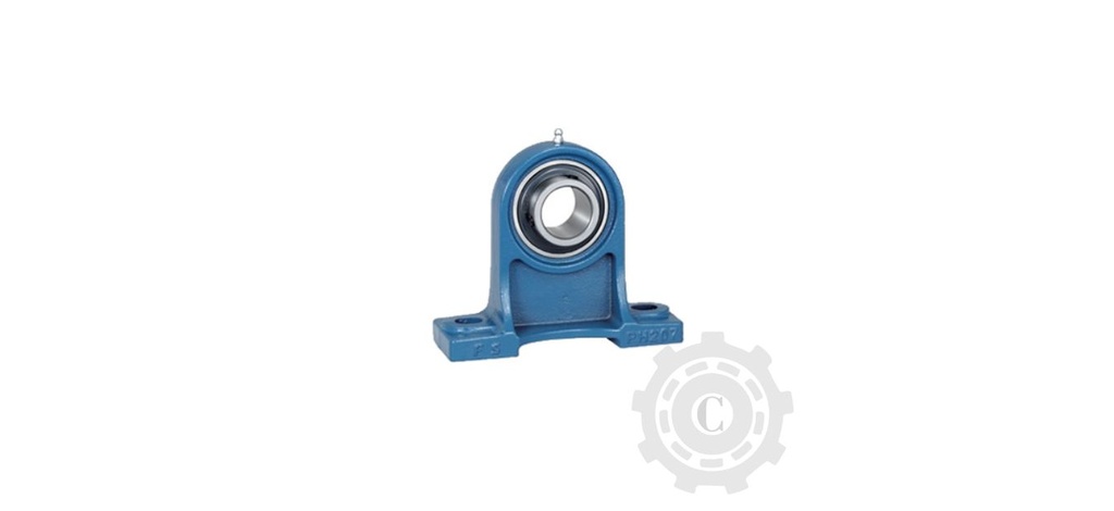 LAGAR CU RULMENT UCPH 208