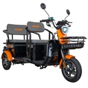 TRICICLU ELECTRIC RURIS PILOT3040N