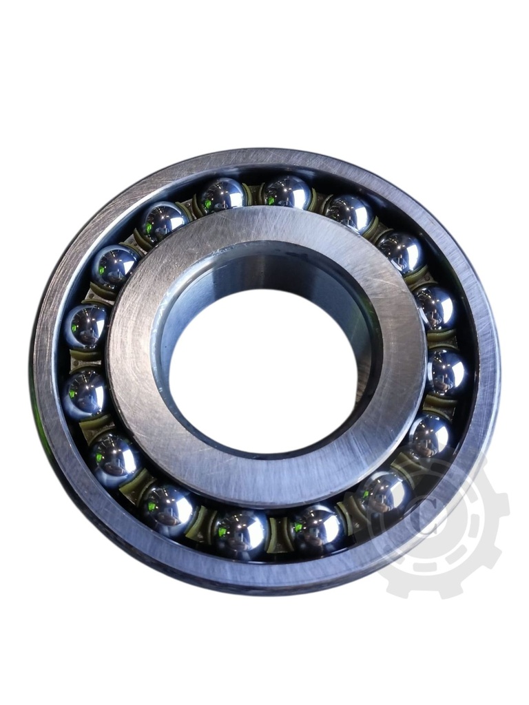 RULMENT 1309 ETN9 SKF