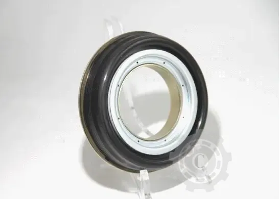 19037034B Garnitură