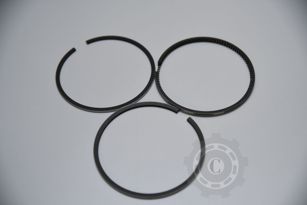 SEGMENTI MOTOR FI98.4