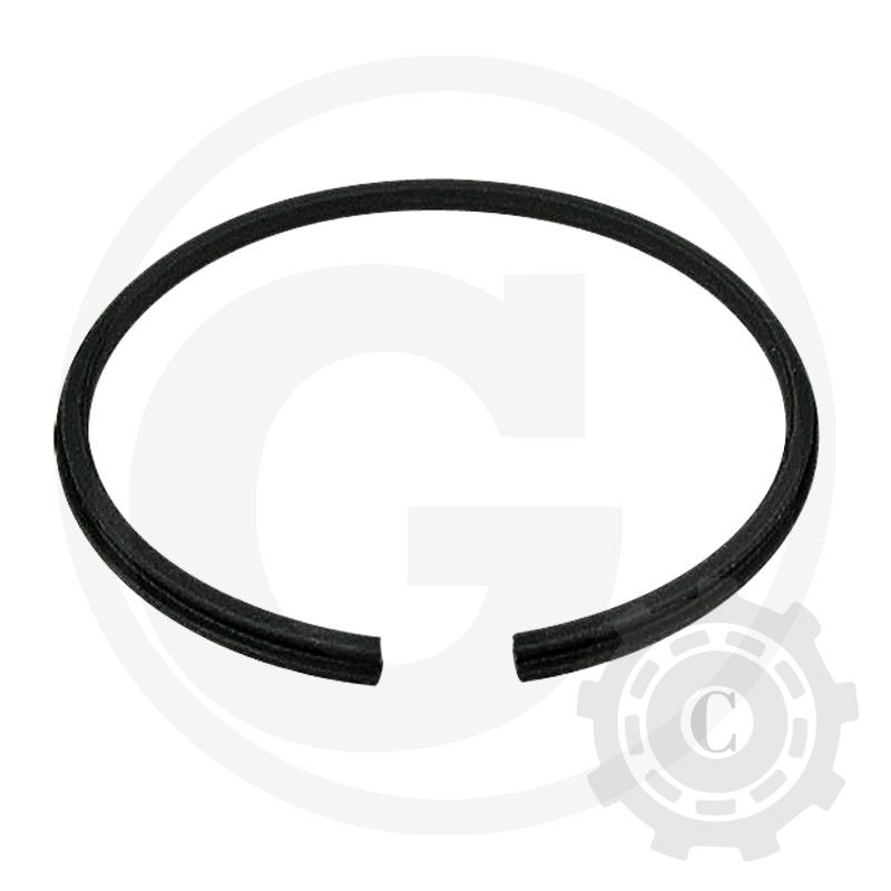 SEGMENT CASE