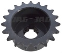 PINION 629982