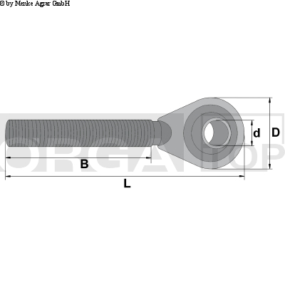 TIJA FILETATA CAT.2 DR.