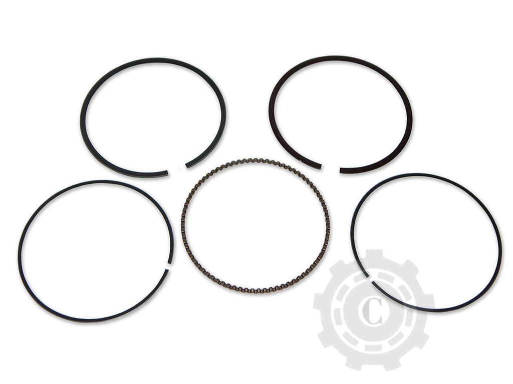 13010Z0D003 SET SEGMENTI GXX100