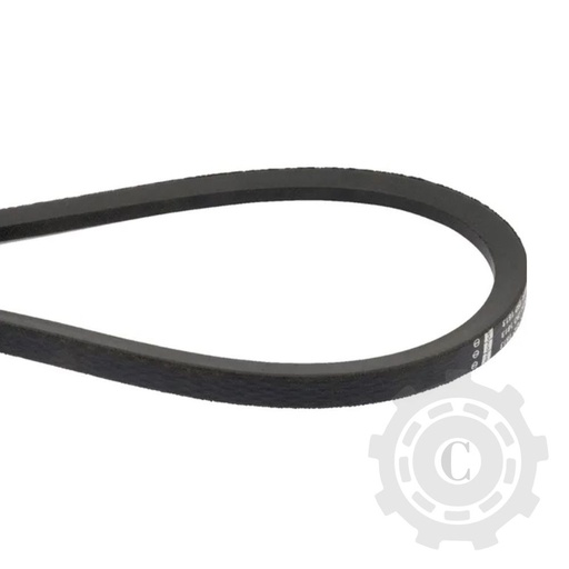 [CP063942] 233843 CUREA