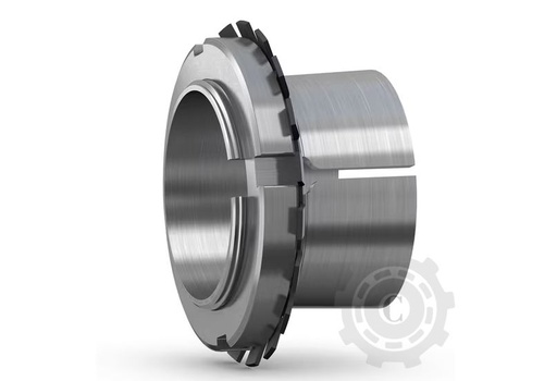 [CP064125] BUCSA CONICA H309 ISB