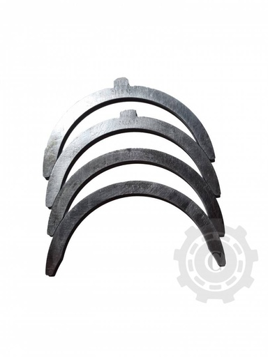 [CP065596] SEMIINELE AXIALE R1 U445