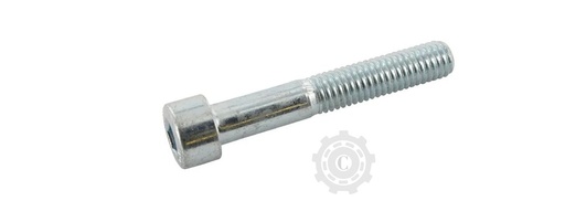 [CP066052] SURUB M10X100 DIN912 G10.9