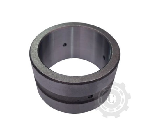 [CP066091] BUCSA 5101537