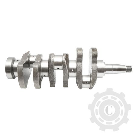 [CP066524] ARBORE COTIT VIBROCHEN U445 FORJAT