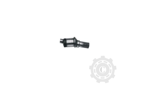 [CP066934] Ax Grup 669913