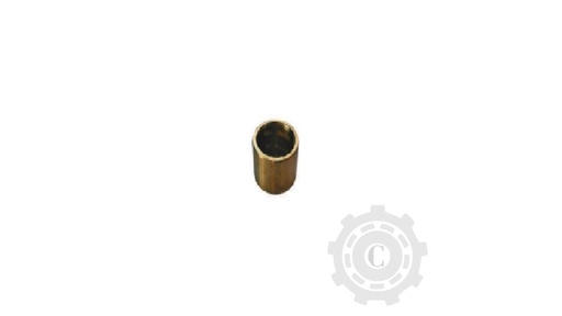 [CP066952] Bucsa Bronz 643628