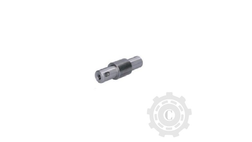 [CP066965] Ax 673746