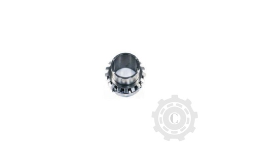 [CP067007] Bucsa Completa 610359