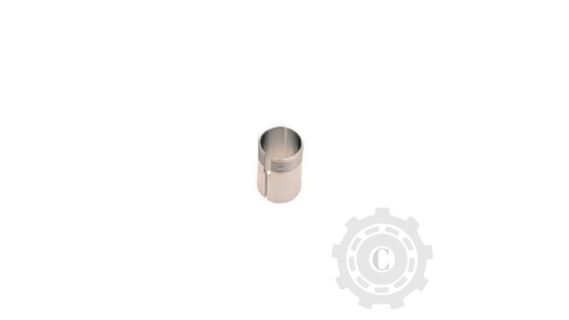 [CP067008] Bucsa 239224