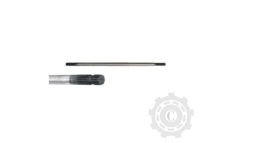 [CP067092] Ax 648184