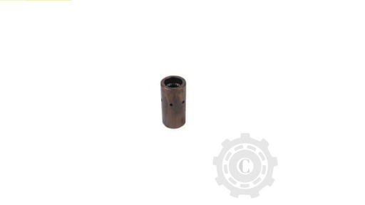 [CP067109] Bucsa 637821