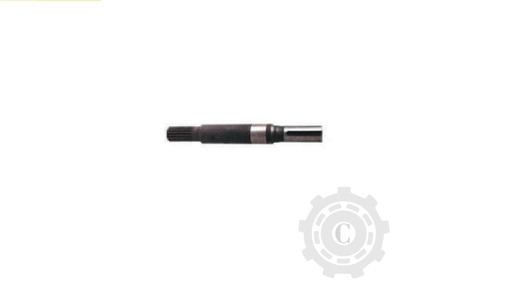 [CP067119] Ax 755202