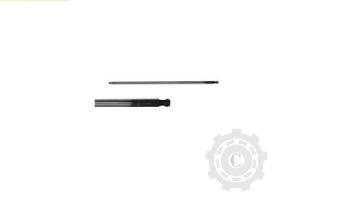 [CP067127] Ax 685385