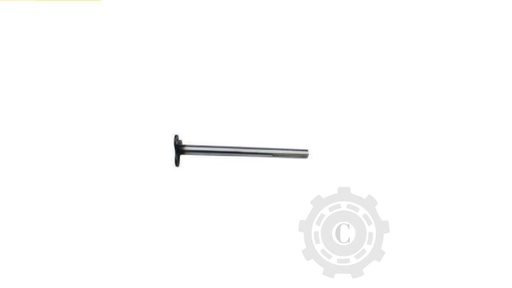 [CP067128] Ax 608055