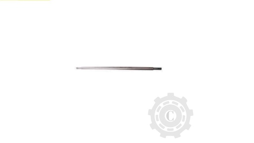 [CP067136] Ax 605000