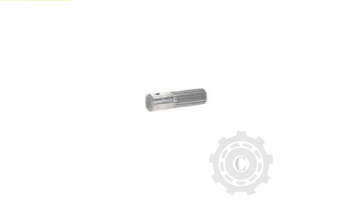 [CP067156] Arbore 603837